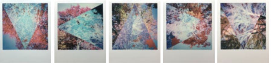 Central Park, 2019 Fotografía instantánea Polaroid