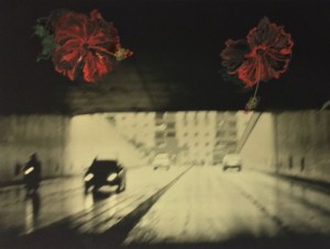 2 Cayenas rojas y 1 salida