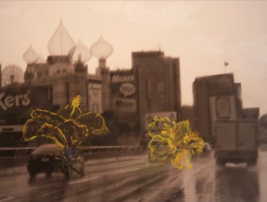 2 Cayenas y 1 Ilusión