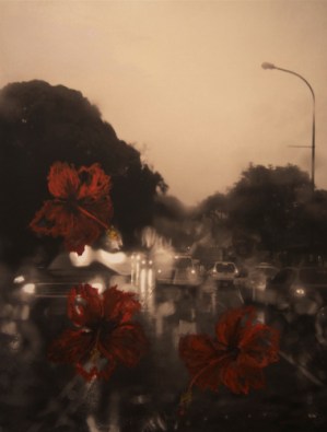 3 Cayenas rojas y ...