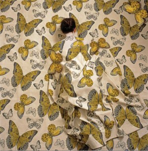 En las alas de tus sueños