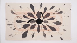 Tela_GüiraDeLasAntillas_SuMajestadVegetal_MaríaVPineda